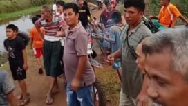 Warga Desa Jermun, Kecamatan Pampangan, Kabupaten Ogan Komering Ilir (OKI), dibuat resah dengan kemunculan seekor buaya muara berukuran sekitar dua meter di Sungai 